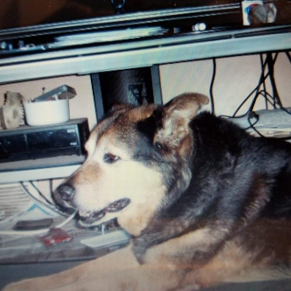 Meet your Posher, Mark - Picture 12 of 12